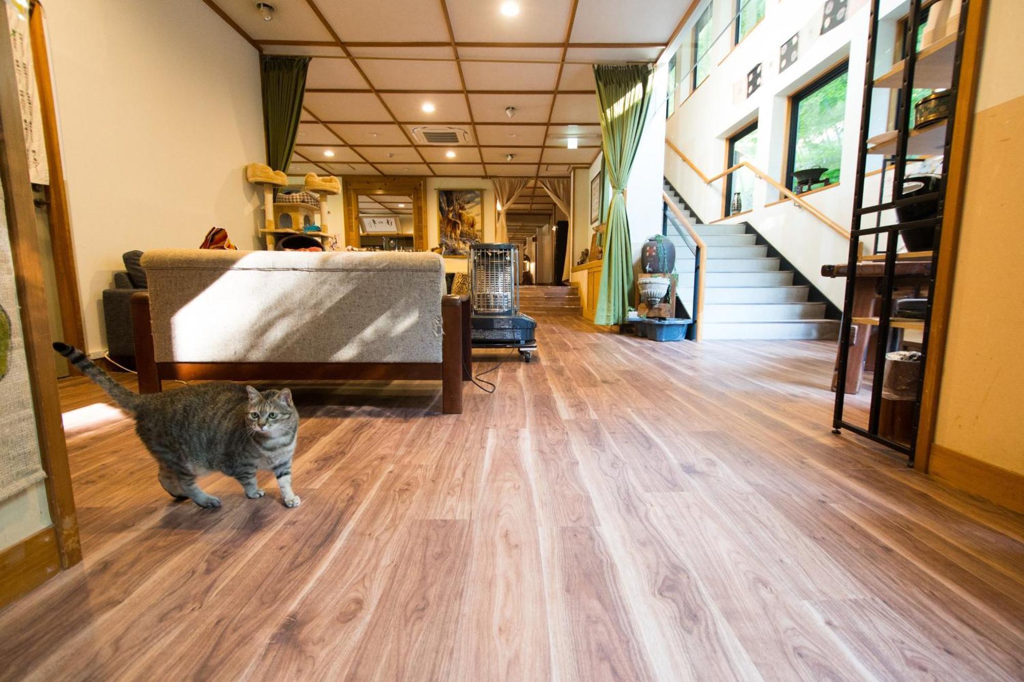 Akasawa Onsen Ryokan Насусиобара Экстерьер фото